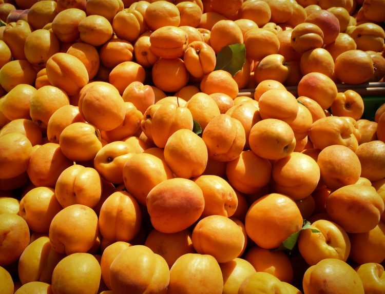 Apricots OtagoFarmersMarket v6
