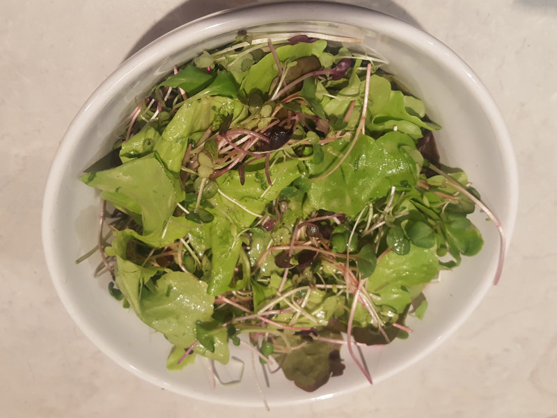 Microgreen Salad With Orange v2