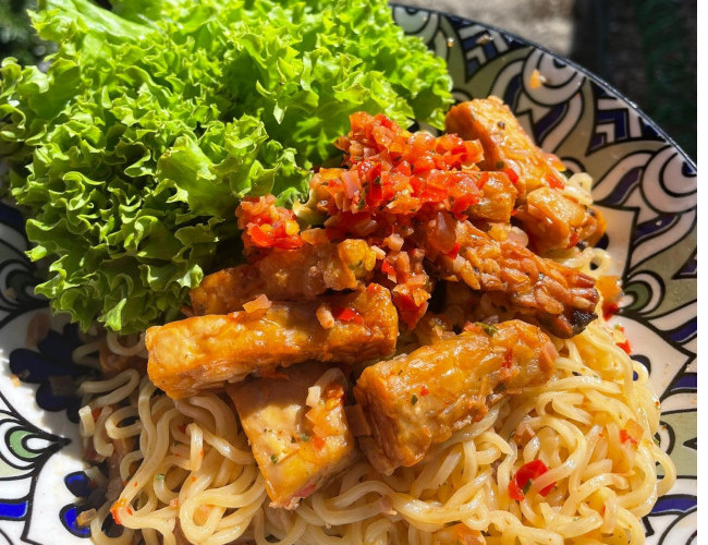 Tempeh v2