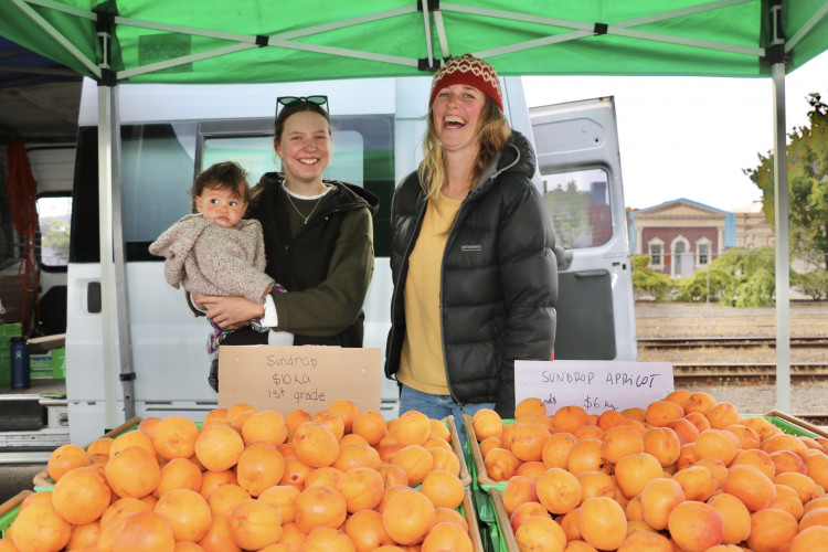 Waitaki Orchard 