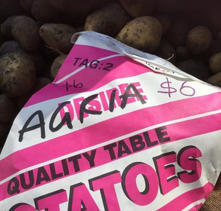 agria potatoes