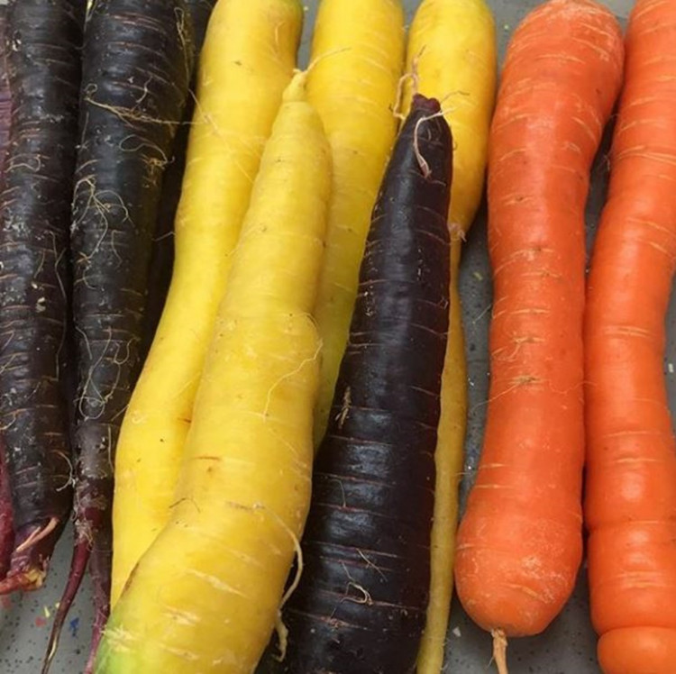 colourful carrots