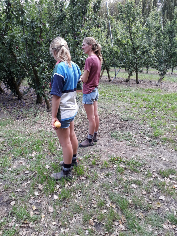 girls in the orchard