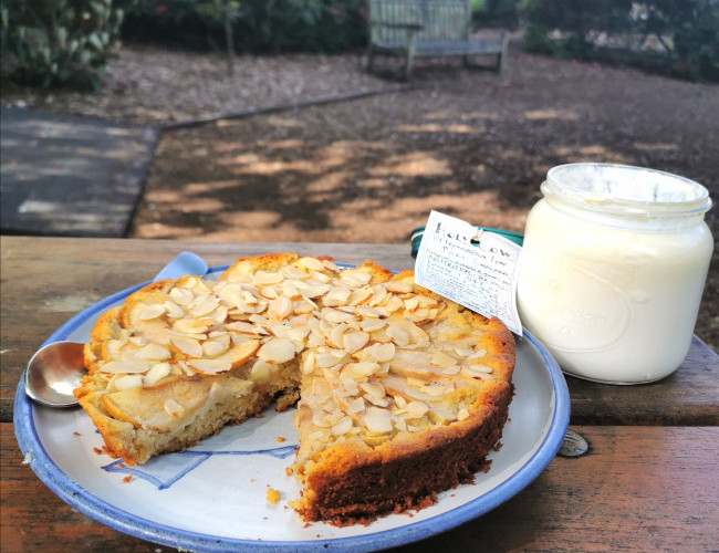 apple and almond cake