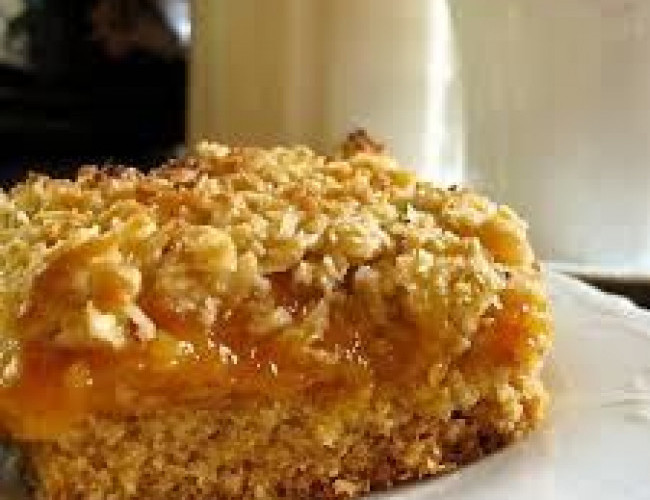 apricot and oat slice