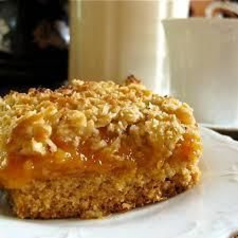 apricot and oat slice