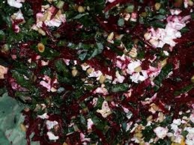 beetroot and kale salad