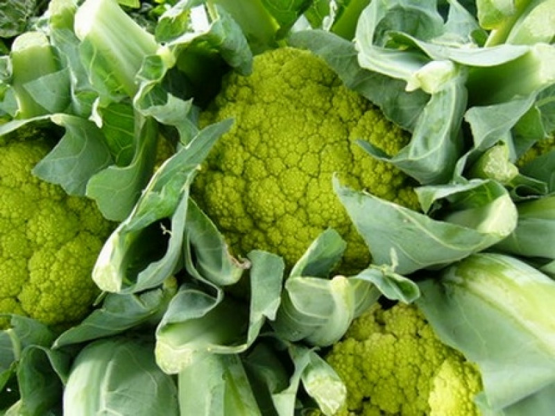 broccoflower