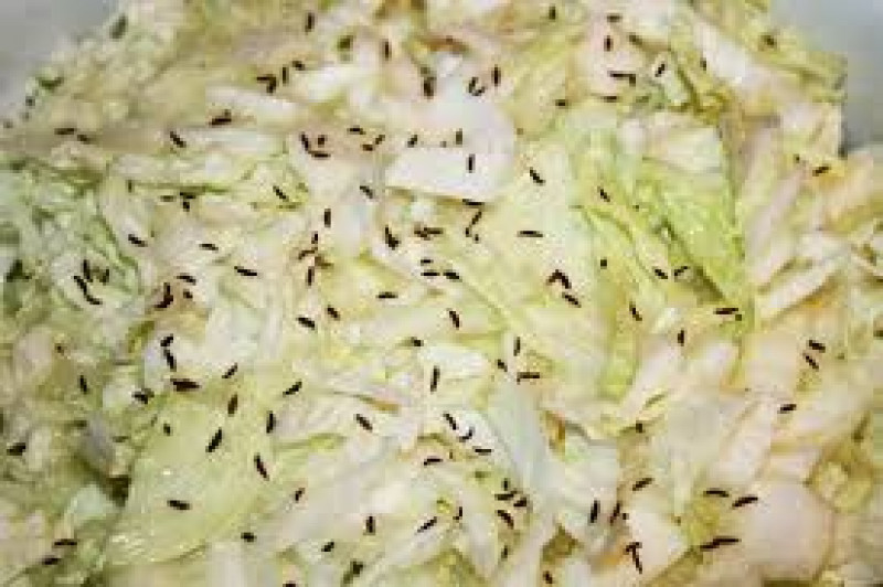 cabbage w caraway