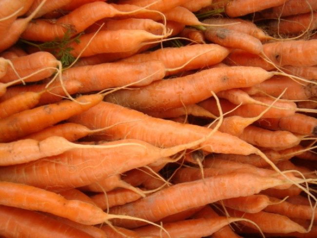 carrots 2