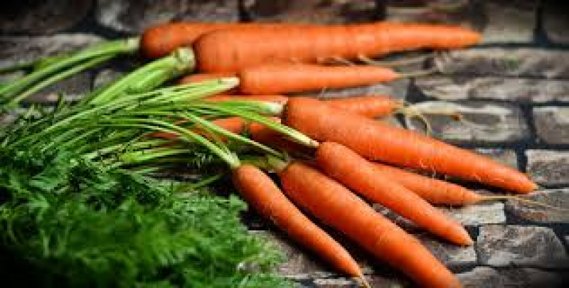 carrots pixabay