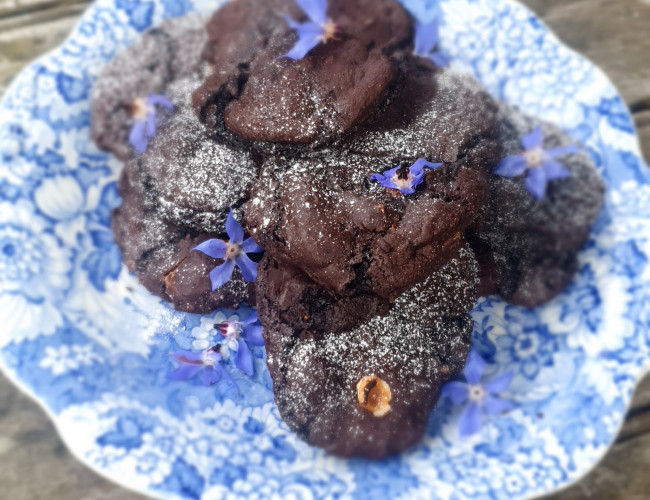 chocolate hazelnut cookies