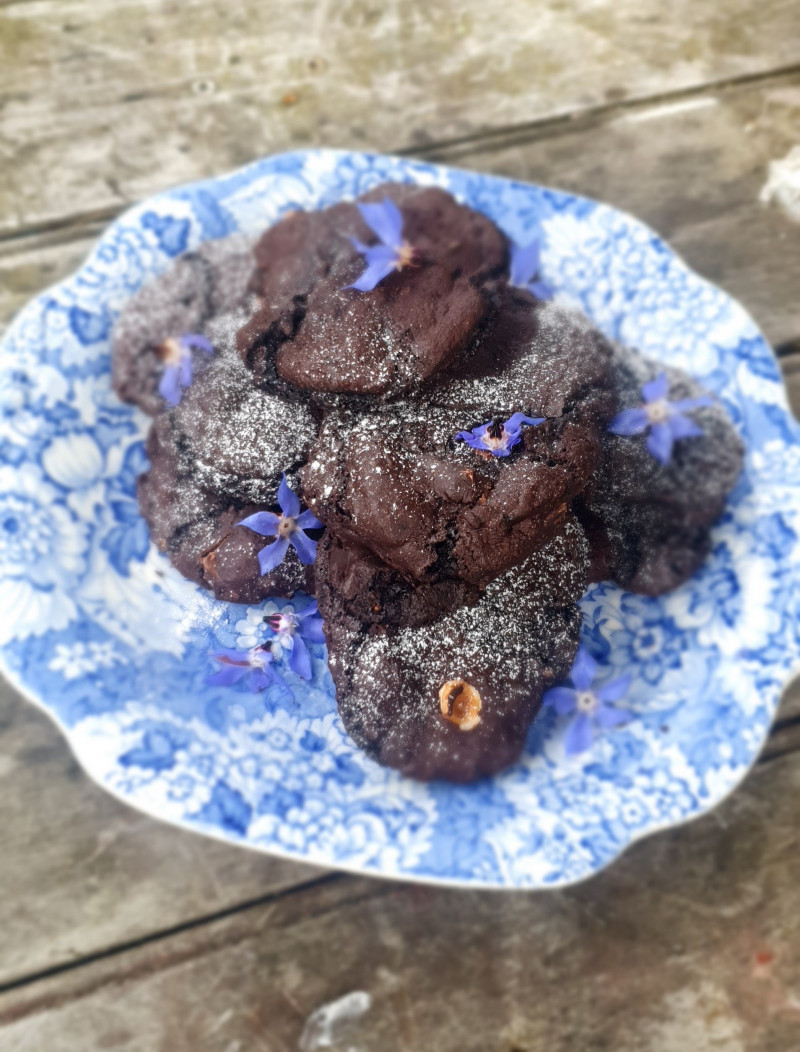 chocolate hazelnut cookies