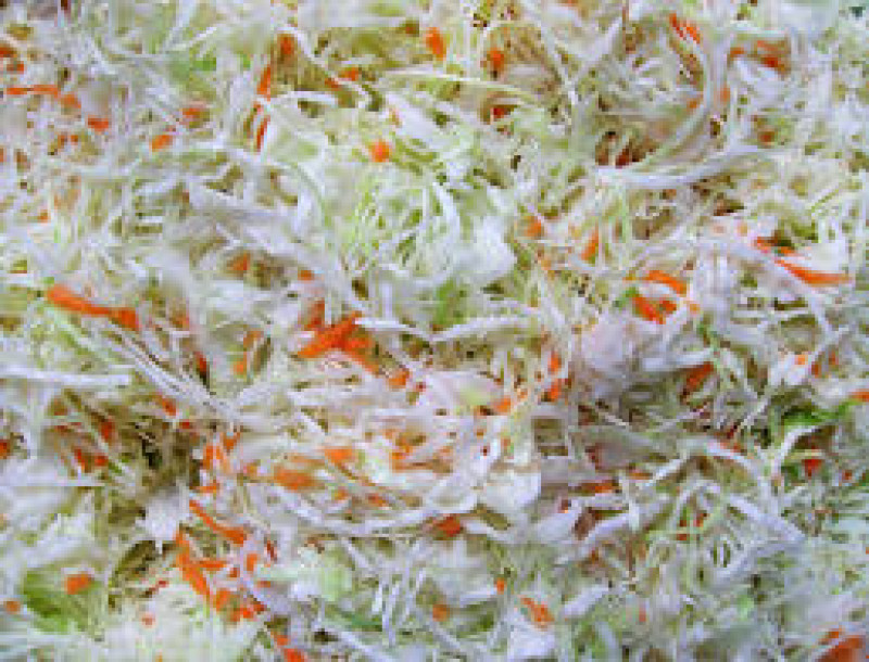 fennel coleslaw