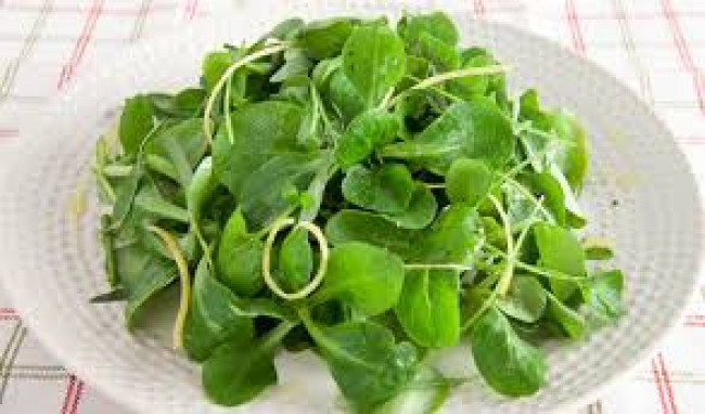 green salad