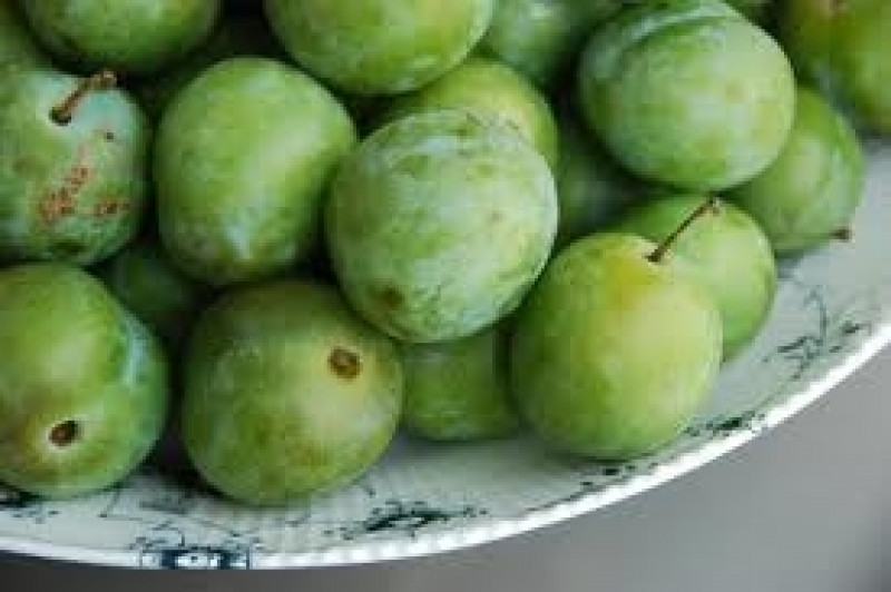 greengages