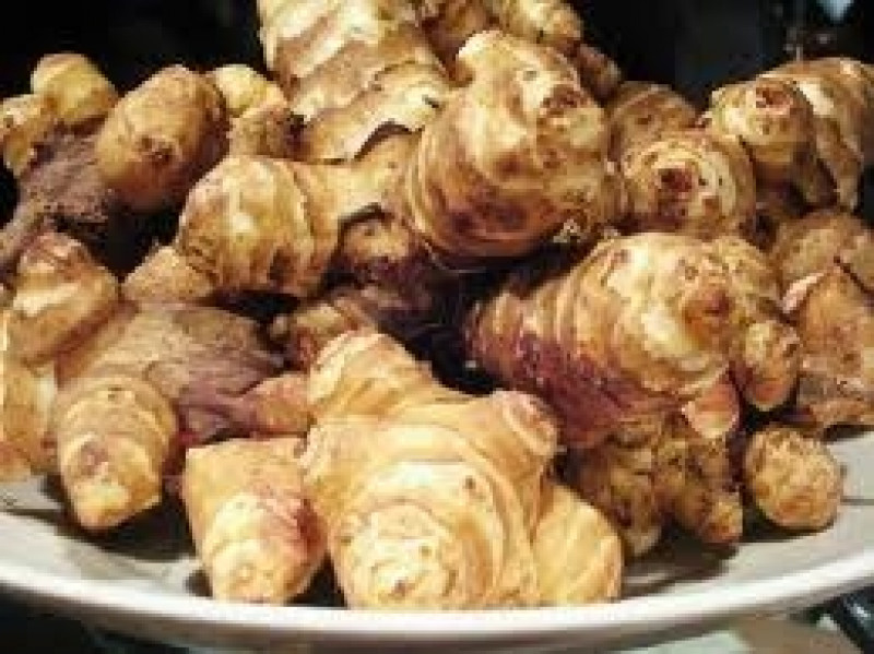 jerusalem artichokes