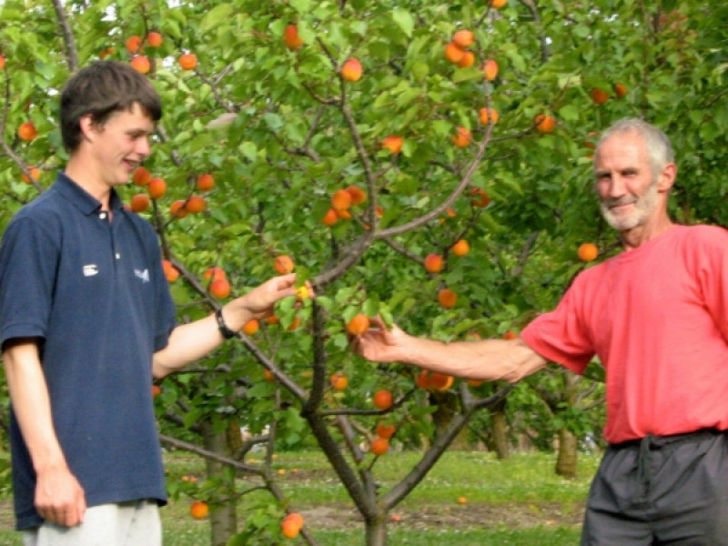 john grandson jack gilchrist examine new apricot tree