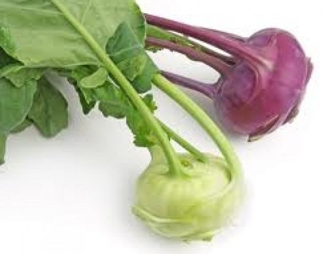 kohl rabi