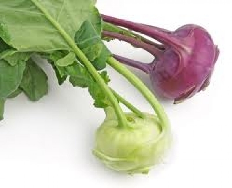 kohl rabi