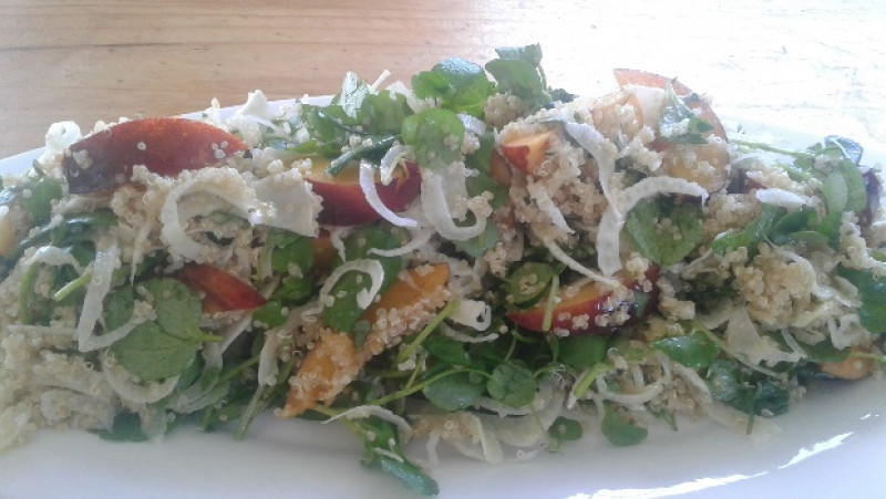 nectarine fennel watercress salad