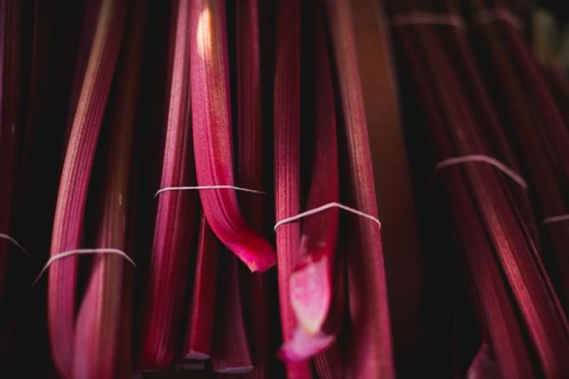 otago farmer s market 39