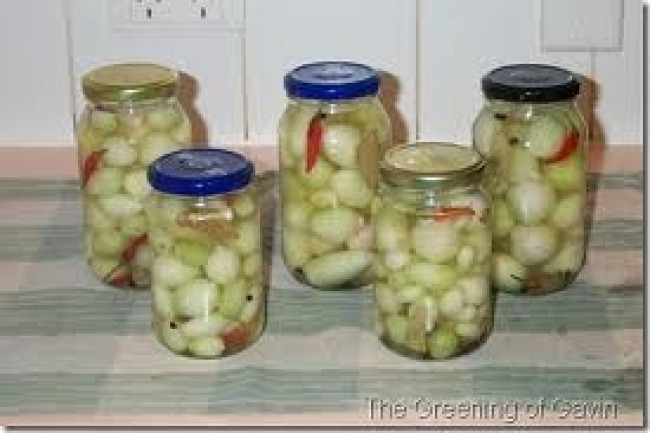 picled onions 5 jars