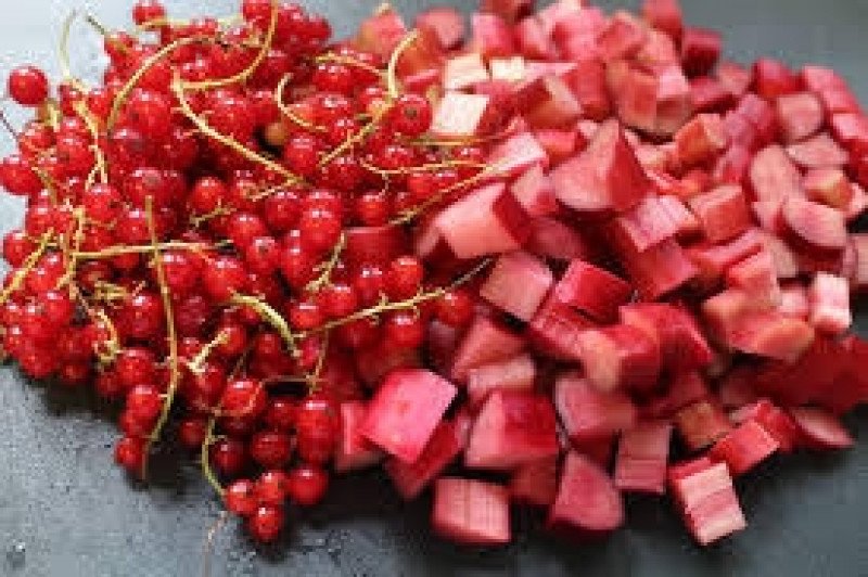 redcurr rhubarb